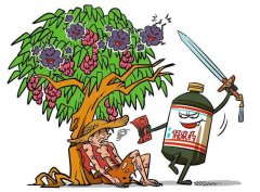 農藥殘留速測儀的應用促進農業綠色發展